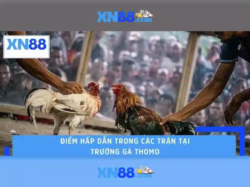 Hệ thống bảo mật thông tin người chơi tại XN88
