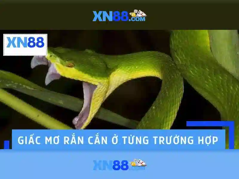 Kết luận và lời khuyên cho người chơi mới