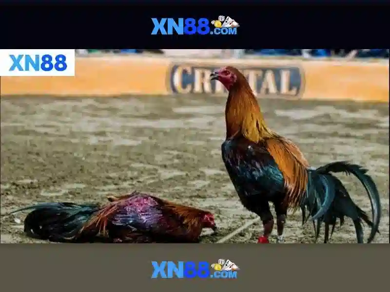 Việt Vị Trong Bóng Đá