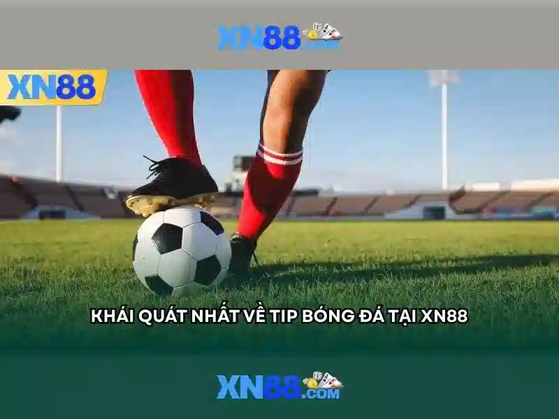 Nguồn gốc và ý nghĩa của Xn88 Nguồn gốc và ý nghĩa của Xn88