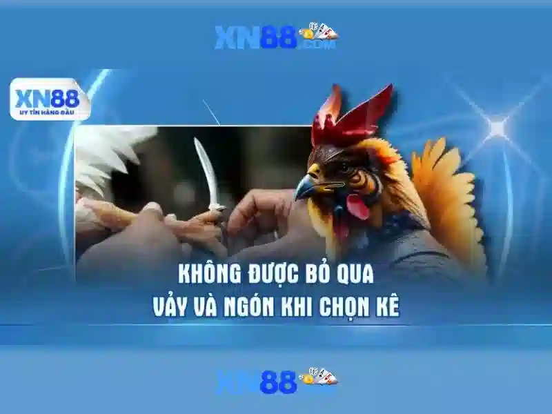 Lựa chọn trò chơi và cập nhật mới Lựa chọn trò chơi và cập nhật mới