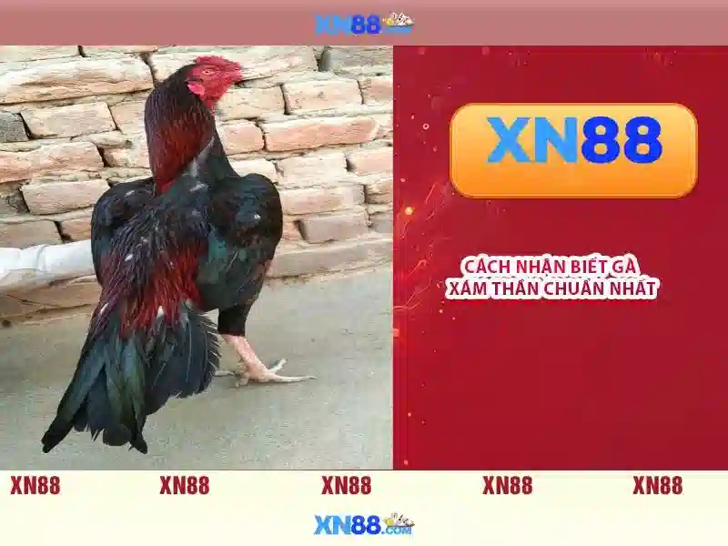 Việt Vị Trong Bóng Đá