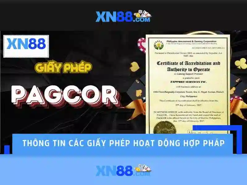 Giới thiệu về xn88