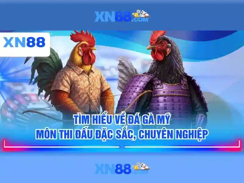 Tính năng nổi bật Tính năng nổi bật