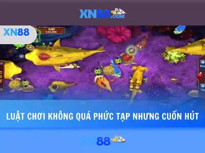 Khuyến mãi và quản lý tài khoản Khuyến mãi và quản lý tài khoản