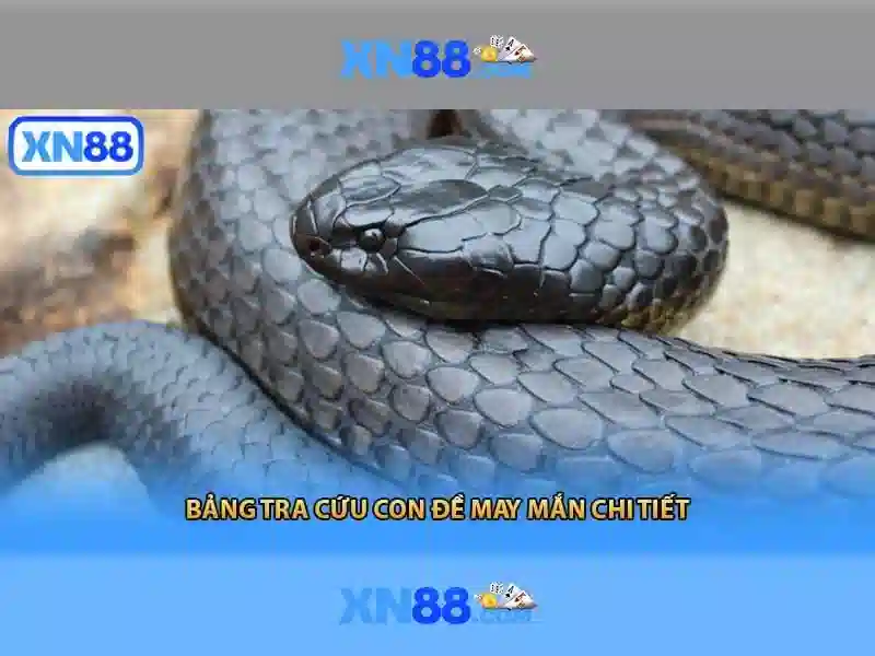 Giới thiệu về xn88 Giới thiệu về xn88