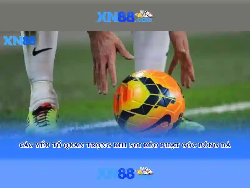 xn88 là gì? xn88 là gì?