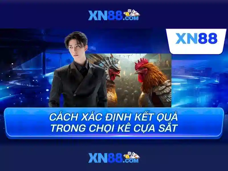 Giao diện và trải nghiệm người dùng Giao diện và trải nghiệm người dùng