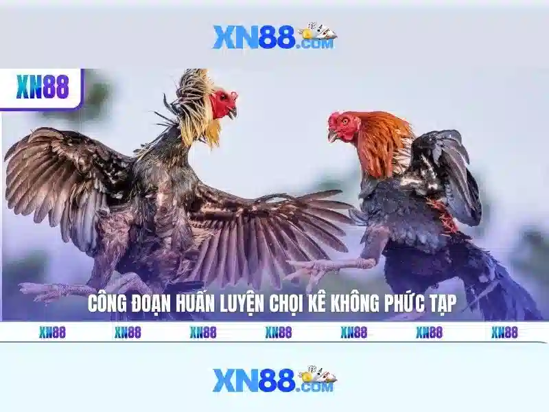 Giới thiệu về xn88 Giới thiệu về xn88