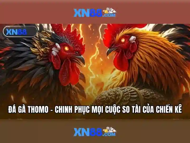 An toàn và bảo mật