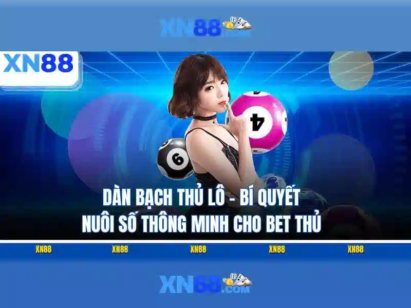 An toàn và hỗ trợ khách hàng