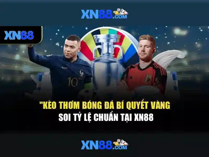 An toàn và lưu ý cho người dùng