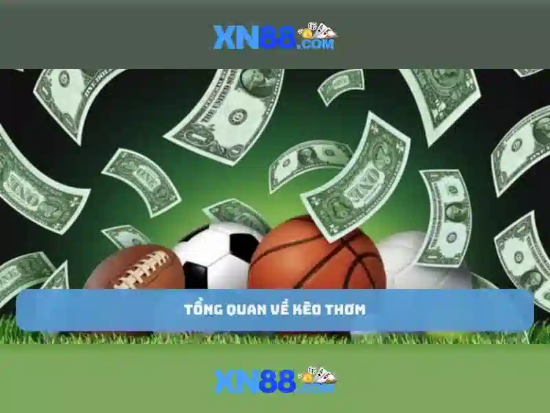 Khám phá xn88 Khám phá xn88
