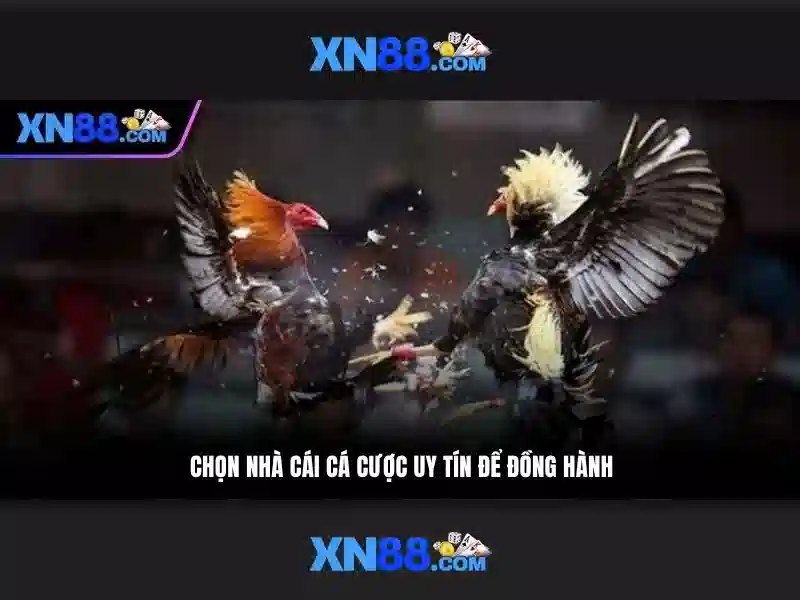 Việt Vị Trong Bóng Đá
