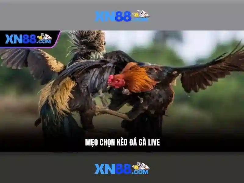 Việt Vị Trong Bóng Đá