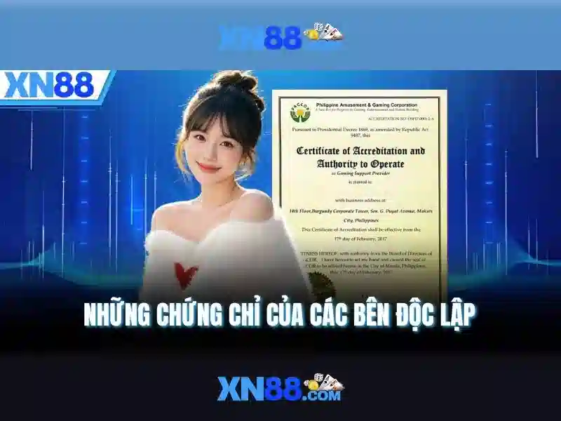An toàn và trách nhiệm khi tham gia