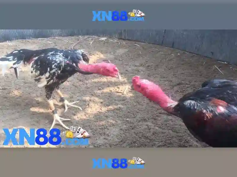 Việt Vị Trong Bóng Đá