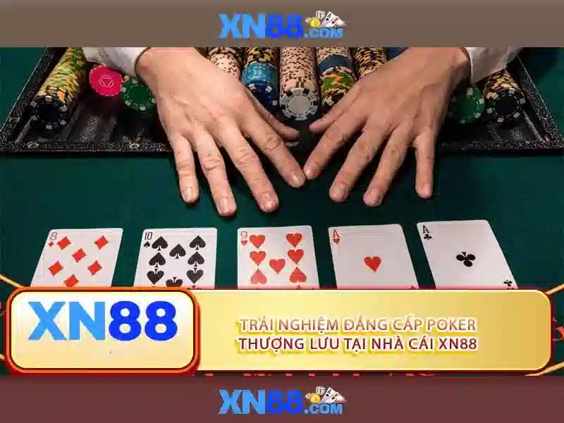 Tính năng nổi bật