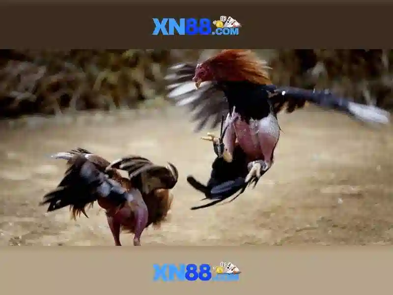 Việt Vị Trong Bóng Đá