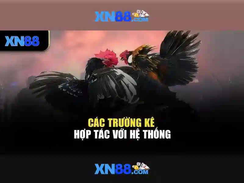 Việt Vị Trong Bóng Đá