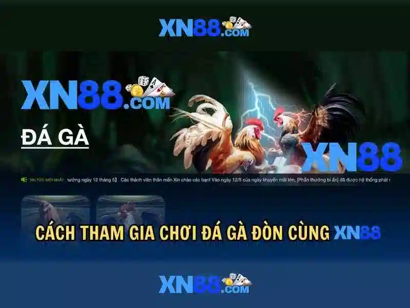 Nền tảng và giao diện