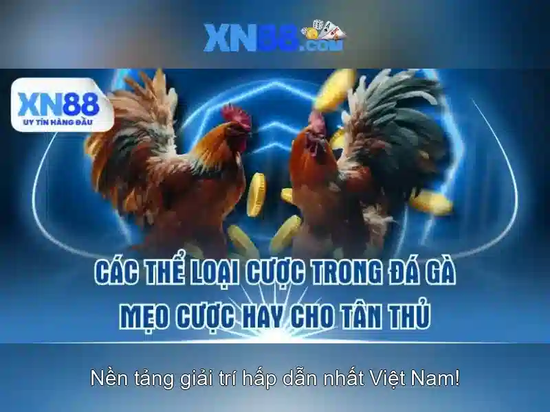 Giới thiệu về xn88 Giới thiệu về xn88