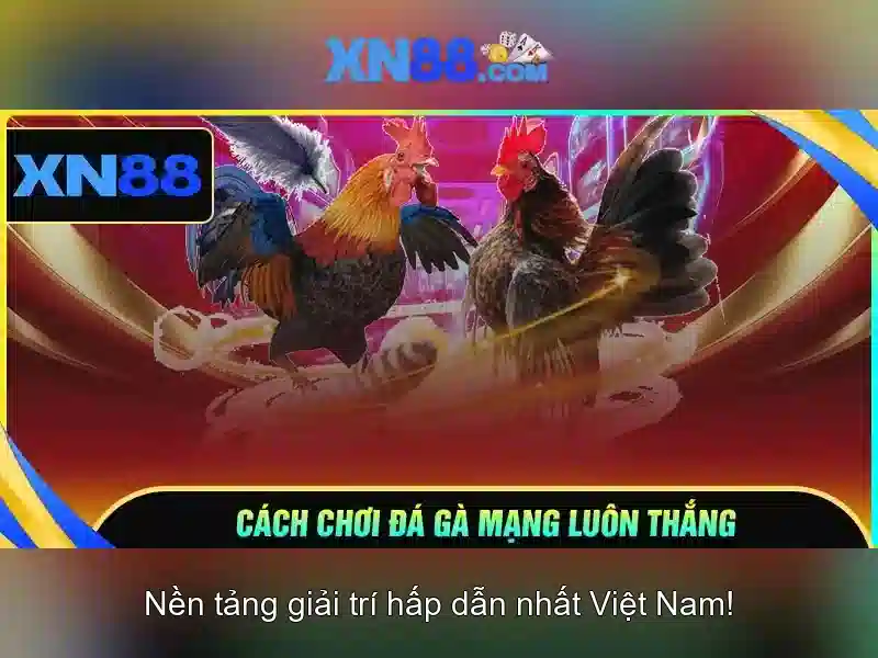 Các tính năng nổi bật của xn88 Các tính năng nổi bật của xn88