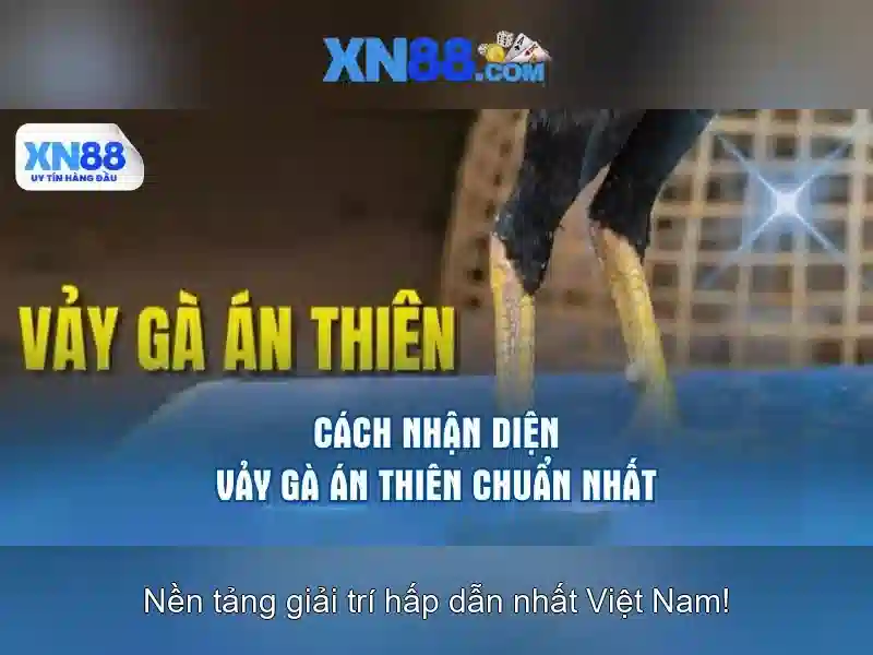 Việt Vị Trong Bóng Đá