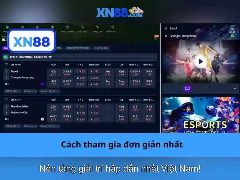 Hướng dẫn tham gia và lưu ý pháp lý Hướng dẫn tham gia và lưu ý pháp lý