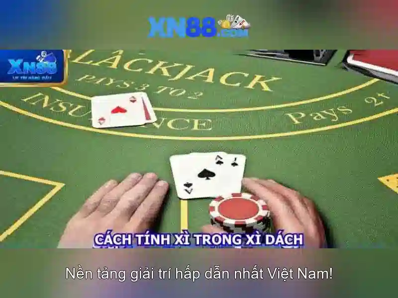 Trải nghiệm người dùng và phản hồi từ cộng đồng