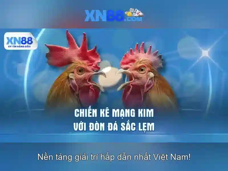 Gioi thieu ve xn88