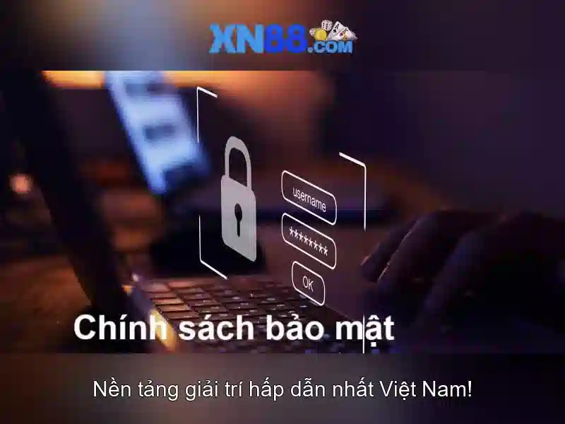 Lịch sử và phát triển Lịch sử và phát triển