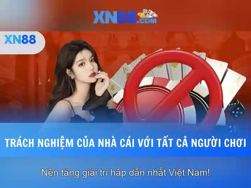 Minh_hoa_hop_tac_xn88