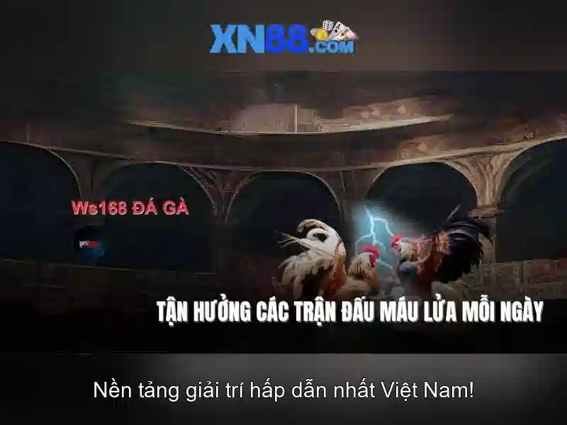 Các tính năng nổi bật của xn88 Các tính năng nổi bật của xn88