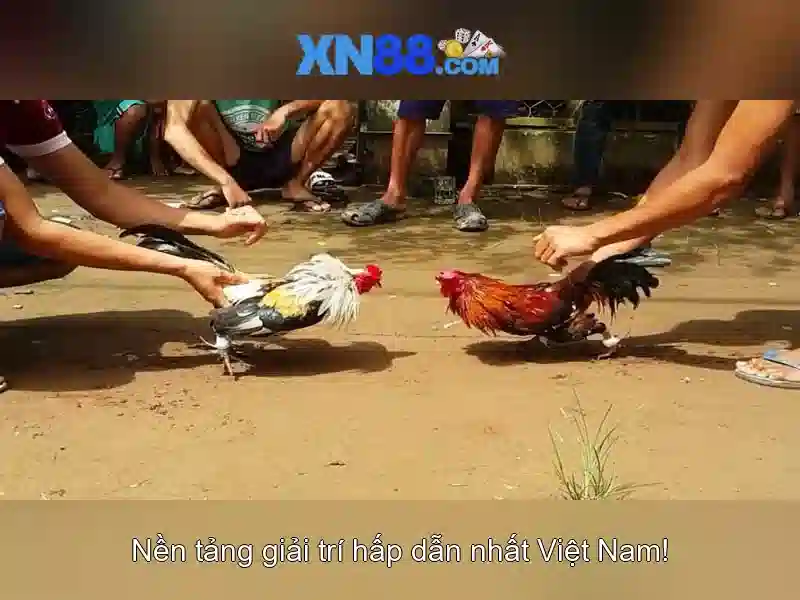 Giới thiệu về xn88