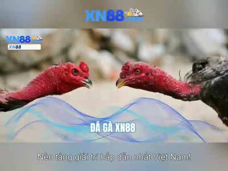Việt Vị Trong Bóng Đá