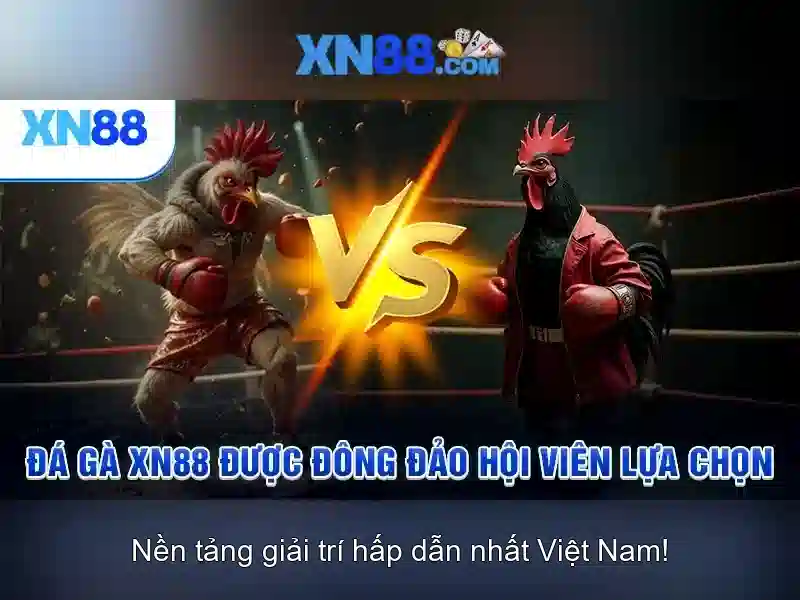 Nền tảng và giao diện