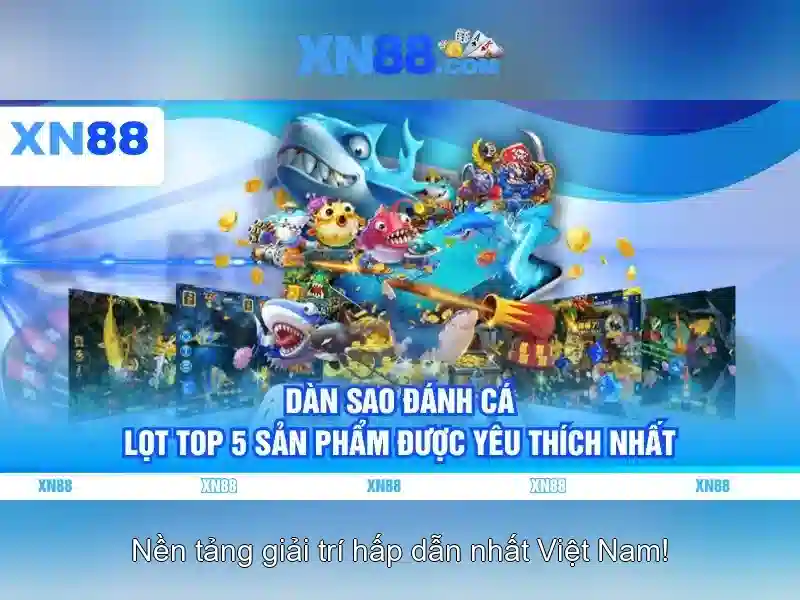 Giới thiệu chung về xn88