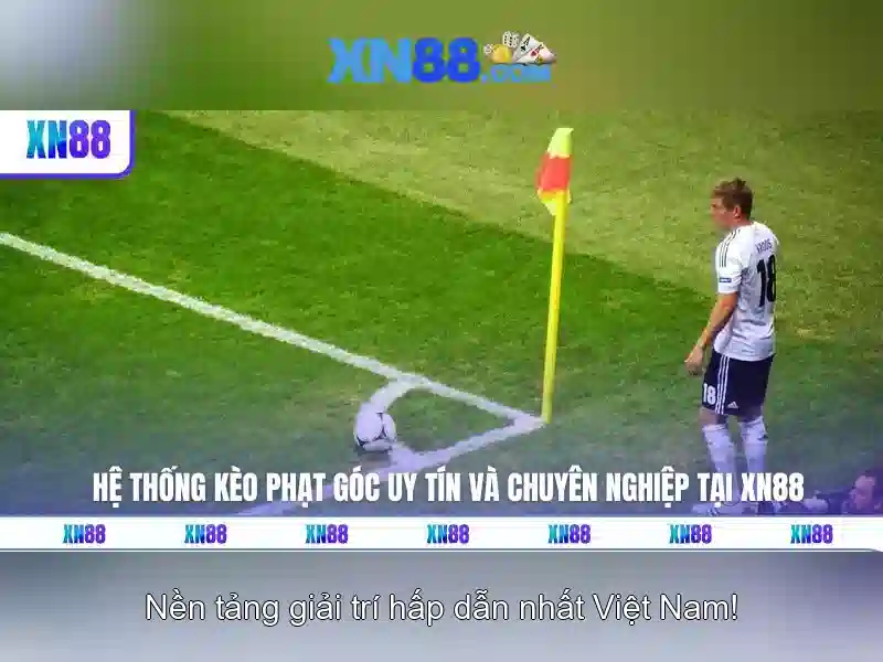 Đánh giá và phản hồi của người dùng Đánh giá và phản hồi của người dùng