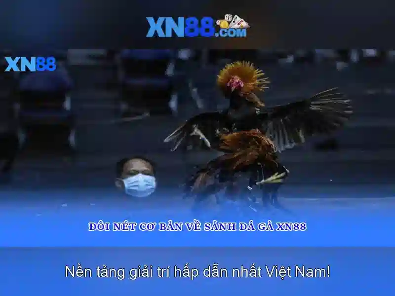 Việt Vị Trong Bóng Đá
