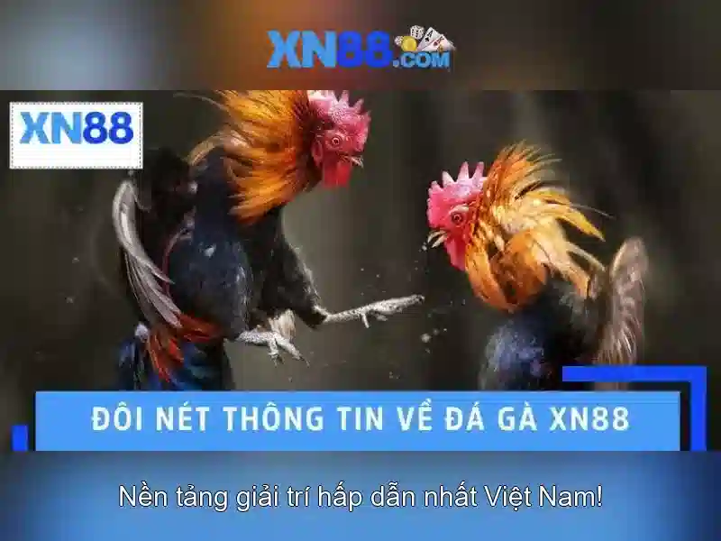 XN88 là gì và tại sao nổi tiếng XN88 là gì và tại sao nổi tiếng