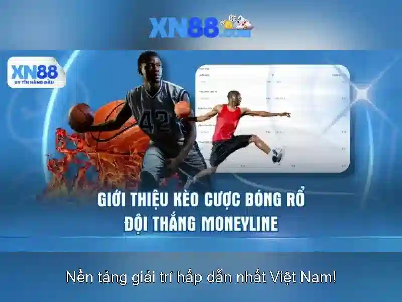 Hỗ trợ khách hàng