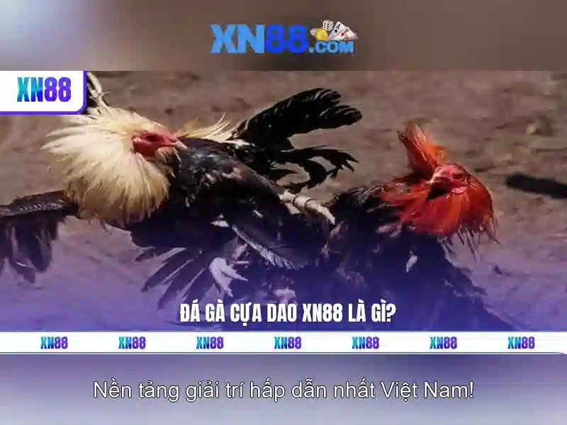 Lịch sử và nguồn gốc