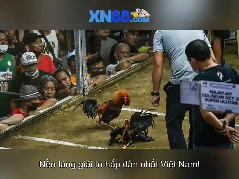 Giới thiệu về xn88 Giới thiệu về xn88
