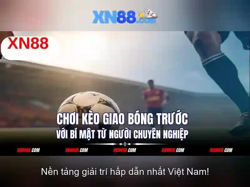 Đánh giá an toàn và pháp lý của xn88