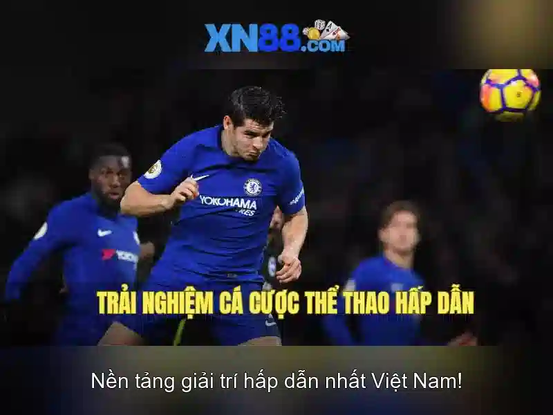 Trải nghiệm người dùng và hỗ trợ khách hàng Trải nghiệm người dùng và hỗ trợ khách hàng