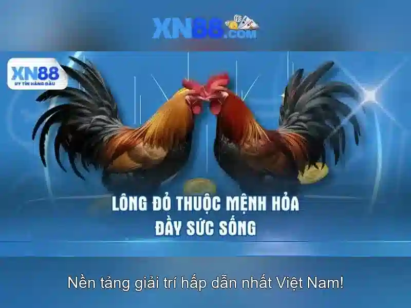 Bull Bull trực tuyến