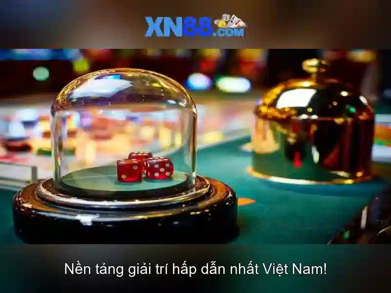 Giới thiệu về xn88