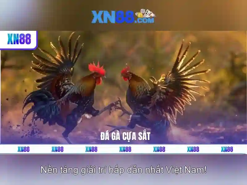 An toàn và bảo mật cho người chơi An toàn và bảo mật cho người chơi