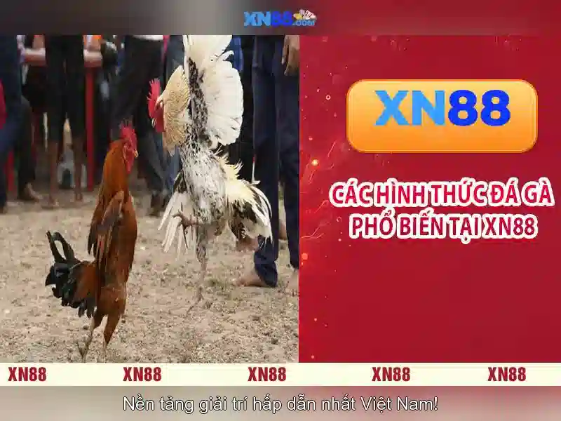 An toàn và trách nhiệm An toàn và trách nhiệm